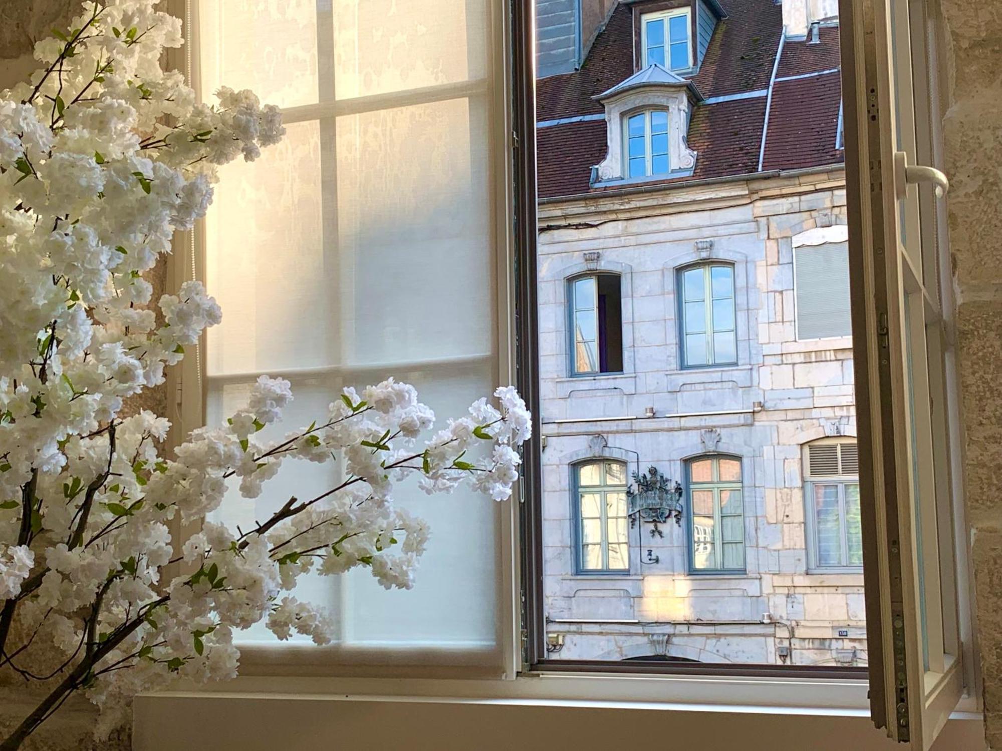 Les Fabuleux Appartements Du Coeur De Ville - Place Victor Hugo Besançon Exteriör bild